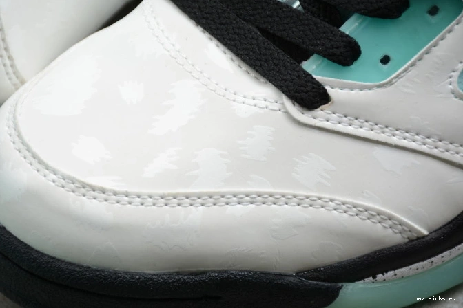 Chep Onekick Jordan Green 5 CN2932-100 Air Island 0710